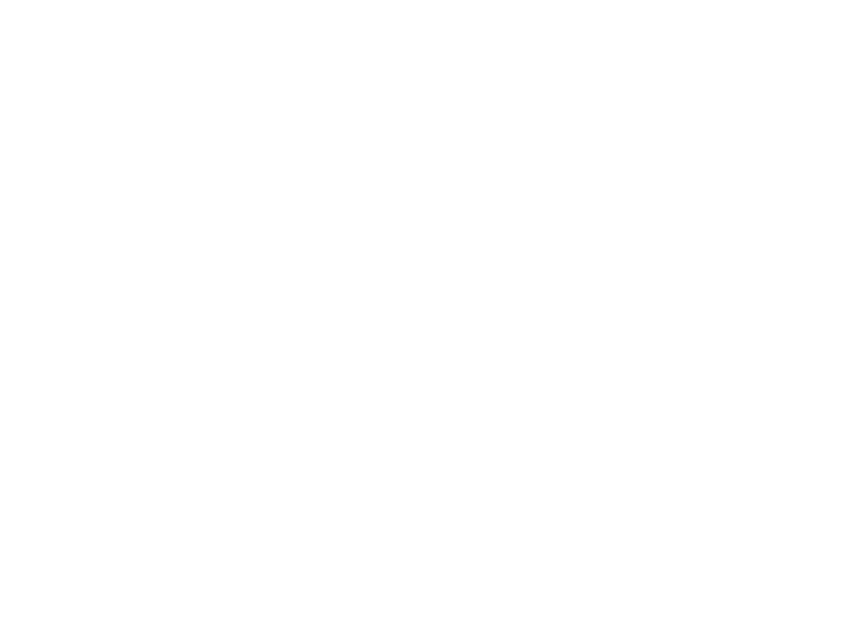 Mintech Solutions